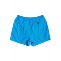 Quiksilver Everyday Volley Blithe Volley short 2020 - Freeride Atti...