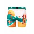 Pull-in fashion 2 sunsetaupic 2022