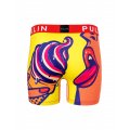 Pull-in fashion 2tasty 2022