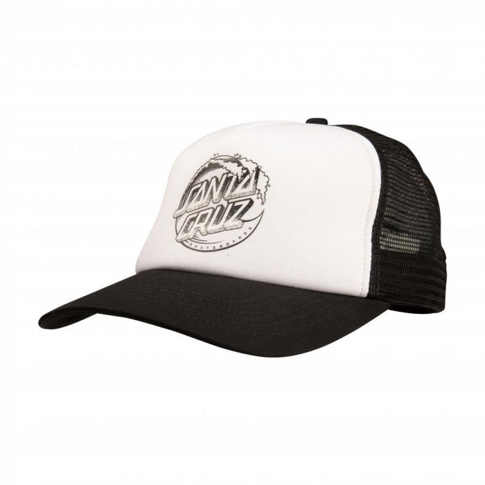 Santa cruz stipple wave dot meshback 2022