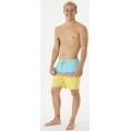 Rip curl surf revival volley 2023 BOARDSHORT