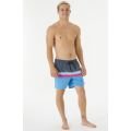 Rip curl surf revival volley 2023 BOARDSHORT
