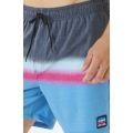 Rip curl surf revival volley 2023 BOARDSHORT