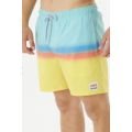 Rip curl surf revival volley 2023 BOARDSHORT
