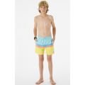 Rip curl surf revival volley 2023 BOARDSHORT Rip curl surf revival volley 2023 BOARDSHORT