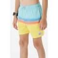 Rip curl surf revival volley 2023 BOARDSHORT