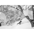 Korua Dart Planche de snowboard 2024