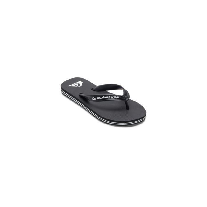 Quicksilver molokai core 2023