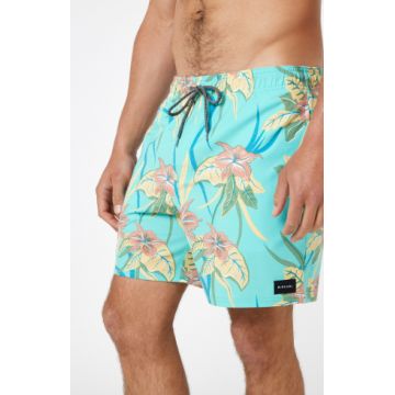 Rip curl combined volley 2023 BOARDSHORT