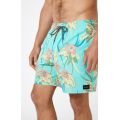Rip curl combined volley 2023 BOARDSHORT