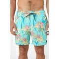 Rip curl combined volley 2023 BOARDSHORT