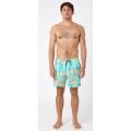 Rip curl combined volley 2023 BOARDSHORT