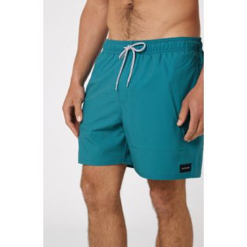 Rip curl daily volley 2023 BOARDSHORT