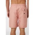 Rip curl easy living volley 2023 BOARDSHORT Rip curl easy living volley 2023 BOARDSHORT