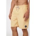 Rip curl easy living volley 2023 BOARDSHORT Rip curl easy living volley 2023 BOARDSHORT