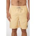 Rip curl easy living volley 2023 BOARDSHORT Rip curl easy living volley 2023 BOARDSHORT