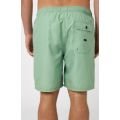Rip curl easy living volley 2023 BOARDSHORT Rip curl easy living volley 2023 BOARDSHORT