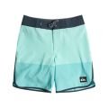 Quiksilver Highlite Scallop Boardshort homme