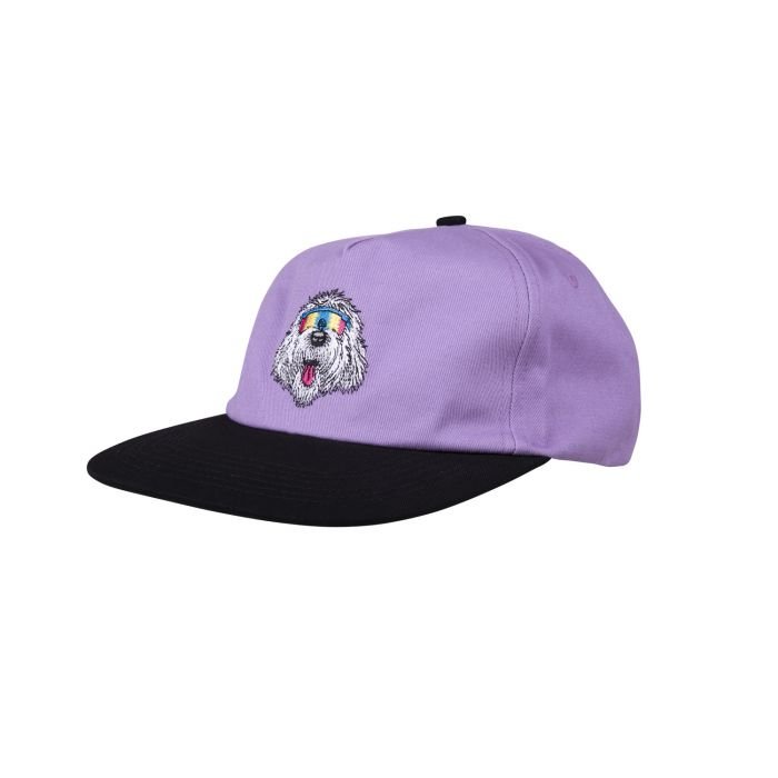 Santa cruz mccoy donut dogh24 CASQUETTE