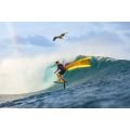 Duotone Sky Style SLS Planche de wing foil 2024