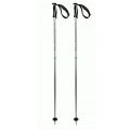 Völkl Phantastick White 16mm Bâtons de ski