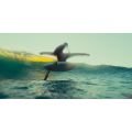 Fone rocket wing - s Planche wing 2024