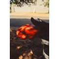 Fone rocket wing carbon Planche wing 2024 Fone rocket wing carbon Planche wing 2024