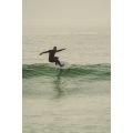 Fone Rocket Surf planche surf foil