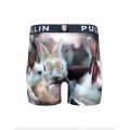 Pull-in fashion 2 bunny 2024 BOXER