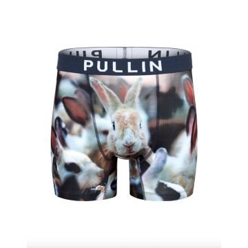 Pull-in fashion 2 bunny 2024 BOXER