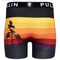 Pull-in Fashion 2 Badcali Boxer
