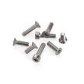 REEDIN FlightAttendant Front Wing Stab screw set 5P 20MM et 3P 16MM