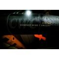 FONE Strike CWC Aluula 2024 Aile de wingfoil