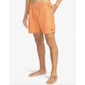 Billabong all day 2024 SHORT Billabong all day 2024 SHORT