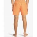 Billabong all day 2024 SHORT Billabong all day 2024 SHORT