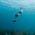 Jobe Infinity Seascooter package
