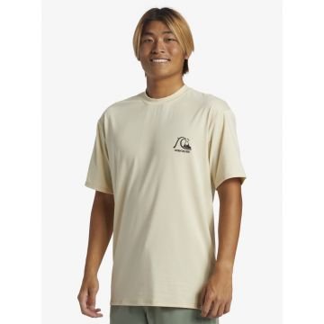 Quiksilver dna tee ss 2024 TSHIRT DE SURF