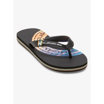 Quiksilver molokai art ii 2024 TONG