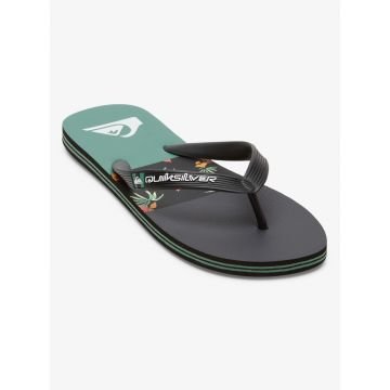 Quiksilver Molokai Stripe tongs homme
