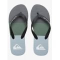 Quiksilver Molokai Stripe tongs homme Quiksilver Molokai Stripe tongs homme