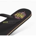 Reef reef seasidereef brazil 2024 Reef reef seasidereef brazil 2024