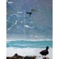 Woo Kiteboard Sensor Package 4.0 Accessoire kite 2024