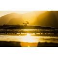 Duotone ts park Planche de kite 2025