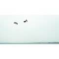 FONE Trax HRD Lite Tech Planche de kitesurf twintip
