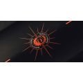 FONE Magnet Carbon V2 Planche de kitesurf