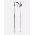 Volkl phantastick w poles Batons h25 BATONS DE SKI