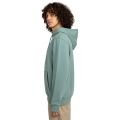 Element skateboard co 2025 SWEAT HOMME