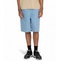 Element chillin big 2025 BERMUDA HOMME