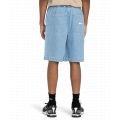 Element chillin big 2025 BERMUDA HOMME