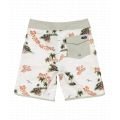 Quiksilver surfsilk 2025 BOARDSHORT BOY